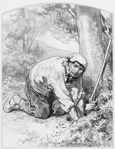 Gold, Plate 16 from Les Toquades, 1858 by Paul Gavarni